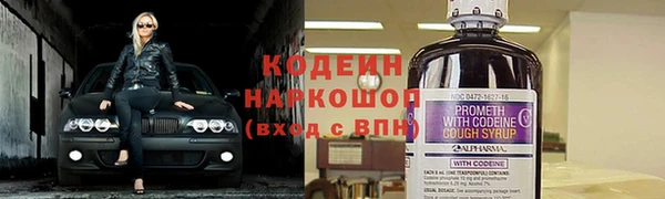 дживик Переславль-Залесский