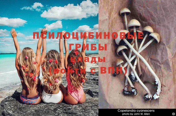 эйфоретик Арсеньев