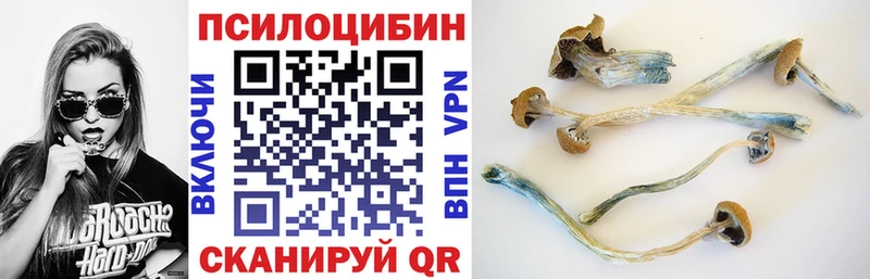 Псилоцибиновые грибы Magic Shrooms  купить   мориарти как зайти  Родники 